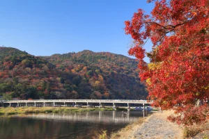wisata-sejarah-menelusuri-jejak-kerajaan-jepang-di-kyoto